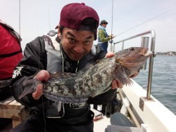 MATSUSHIMA SEANET 釣果