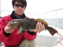 MATSUSHIMA SEANET 釣果