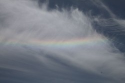 松本釣船２ 釣果