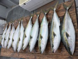 ゲームフィッシング バレントン 釣果