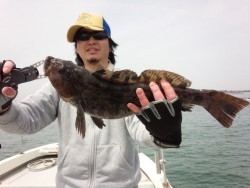 MATSUSHIMA SEANET 釣果