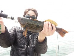 MATSUSHIMA SEANET 釣果