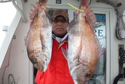 松本釣船２ 釣果