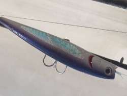 ゲームフィッシング バレントン 釣果