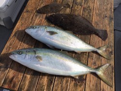 ゲームフィッシング バレントン 釣果