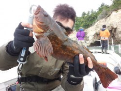 MATSUSHIMA SEANET 釣果