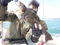 MATSUSHIMA SEANET 釣果