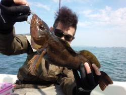 MATSUSHIMA SEANET 釣果