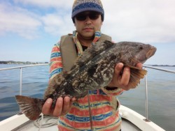 MATSUSHIMA SEANET 釣果