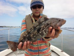 MATSUSHIMA SEANET 釣果