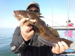 MATSUSHIMA SEANET 釣果