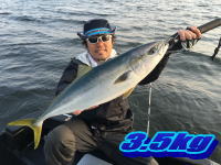 オーシャンマスター 釣果