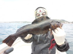 MATSUSHIMA SEANET 釣果