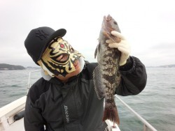 MATSUSHIMA SEANET 釣果