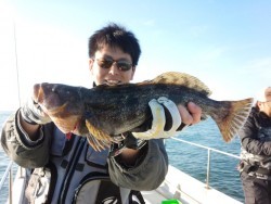 MATSUSHIMA SEANET 釣果