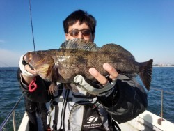 MATSUSHIMA SEANET 釣果