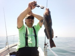 MATSUSHIMA SEANET 釣果