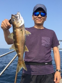 ゲームフィッシング バレントン 釣果