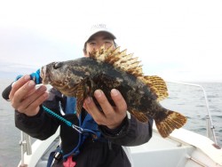 MATSUSHIMA SEANET 釣果