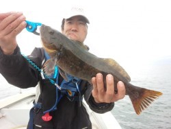 MATSUSHIMA SEANET 釣果