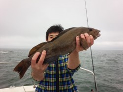 MATSUSHIMA SEANET 釣果