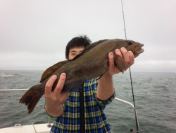 MATSUSHIMA SEANET 釣果