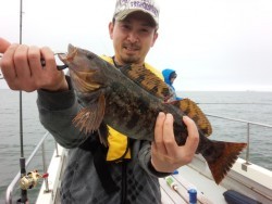 MATSUSHIMA SEANET 釣果