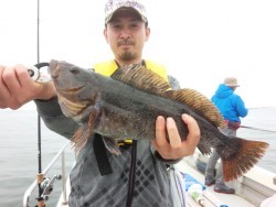 MATSUSHIMA SEANET 釣果