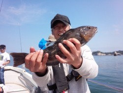 MATSUSHIMA SEANET 釣果