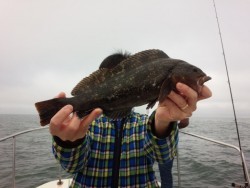 MATSUSHIMA SEANET 釣果