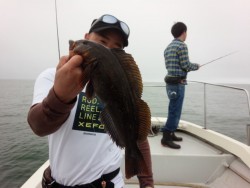 MATSUSHIMA SEANET 釣果