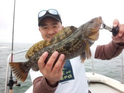 MATSUSHIMA SEANET 釣果