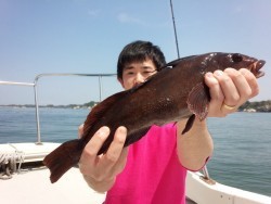 MATSUSHIMA SEANET 釣果