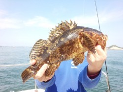 MATSUSHIMA SEANET 釣果