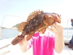 MATSUSHIMA SEANET 釣果