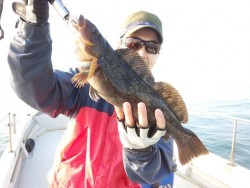 MATSUSHIMA SEANET 釣果