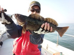 MATSUSHIMA SEANET 釣果