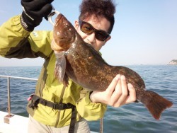 MATSUSHIMA SEANET 釣果