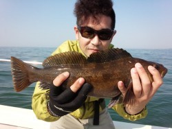 MATSUSHIMA SEANET 釣果