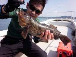 MATSUSHIMA SEANET 釣果