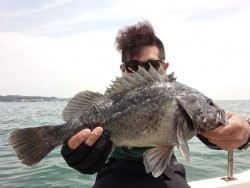 MATSUSHIMA SEANET 釣果