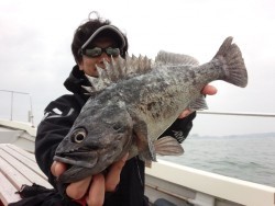 MATSUSHIMA SEANET 釣果