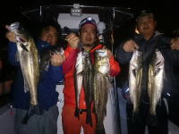 オーシャンマスター 釣果