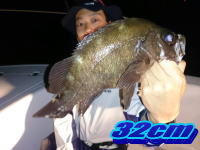 オーシャンマスター 釣果