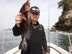 MATSUSHIMA SEANET 釣果