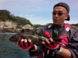 MATSUSHIMA SEANET 釣果