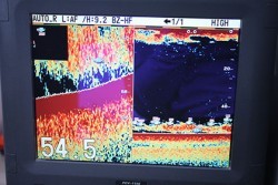 松本釣船２ 釣果