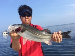 ゲームフィッシング バレントン 釣果