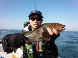 MATSUSHIMA SEANET 釣果