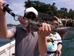 MATSUSHIMA SEANET 釣果